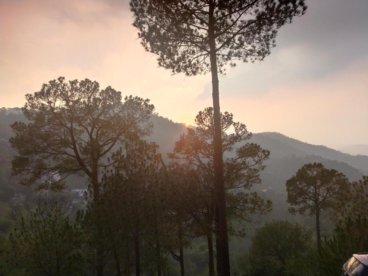 Pine Villa Kasauli Εξωτερικό φωτογραφία