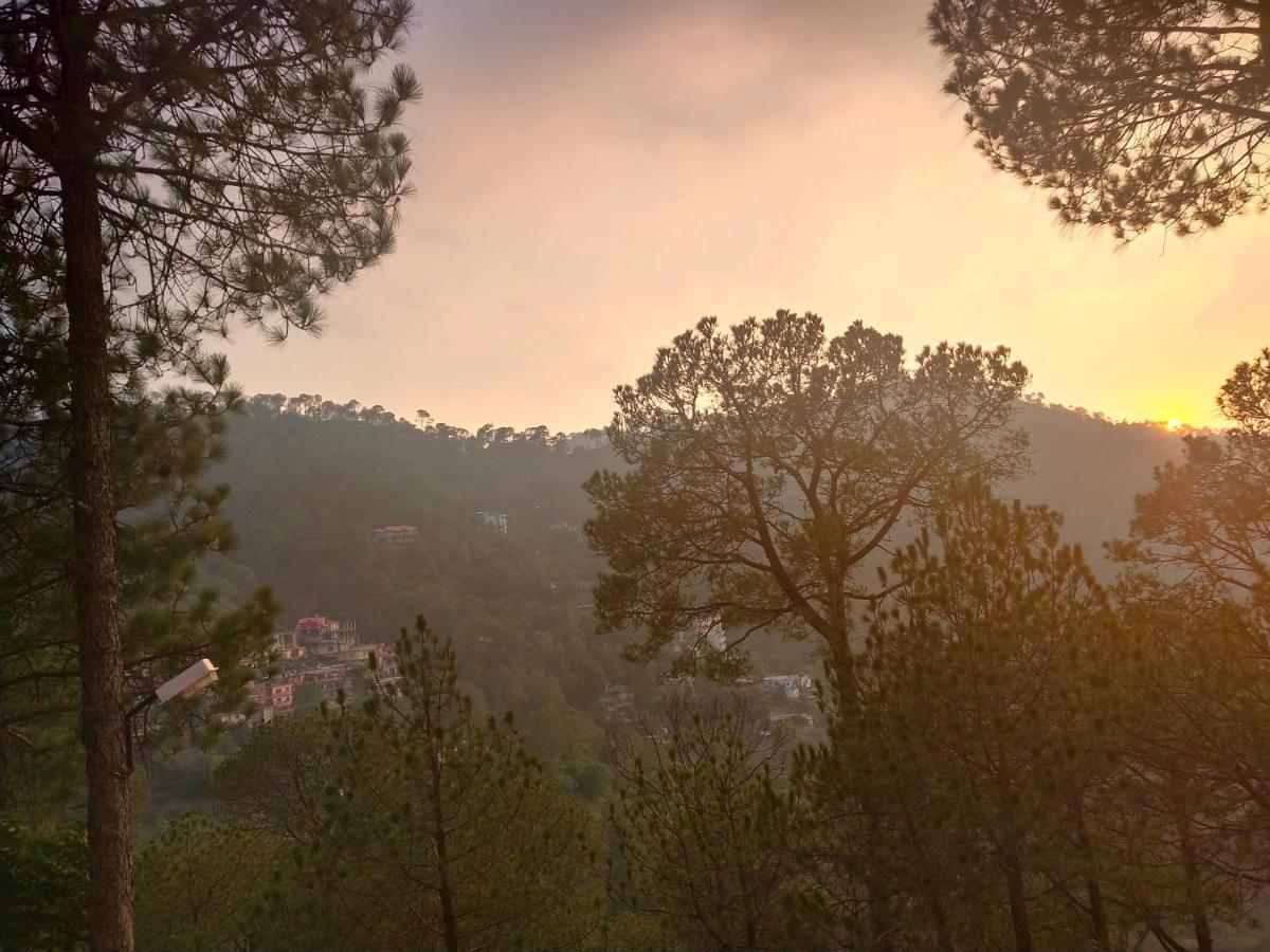 Pine Villa Kasauli Εξωτερικό φωτογραφία