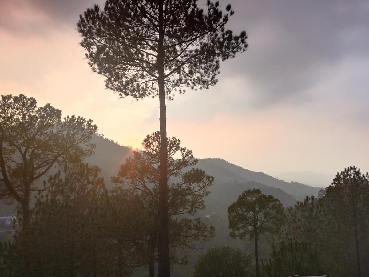Pine Villa Kasauli Εξωτερικό φωτογραφία