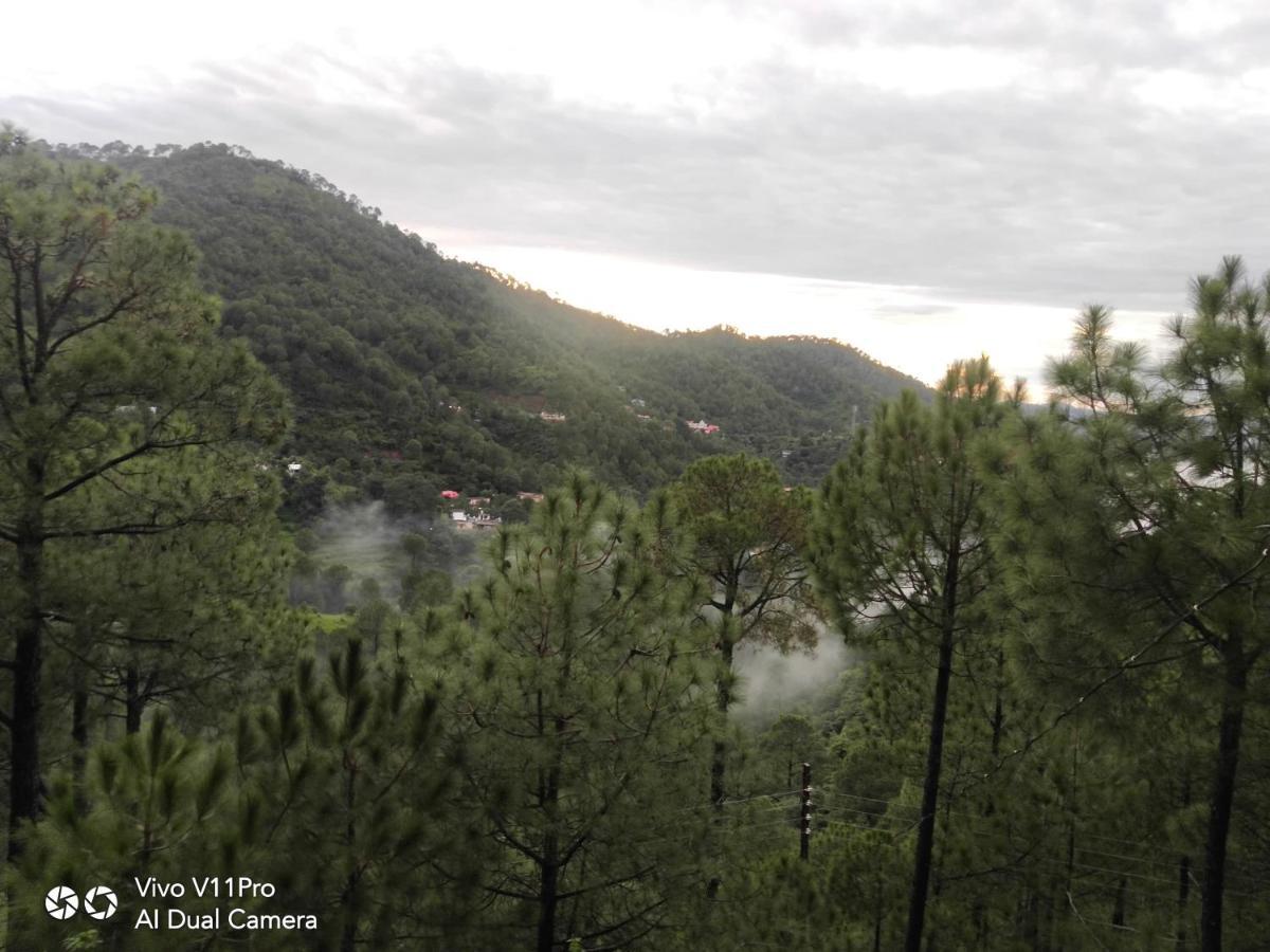 Pine Villa Kasauli Εξωτερικό φωτογραφία