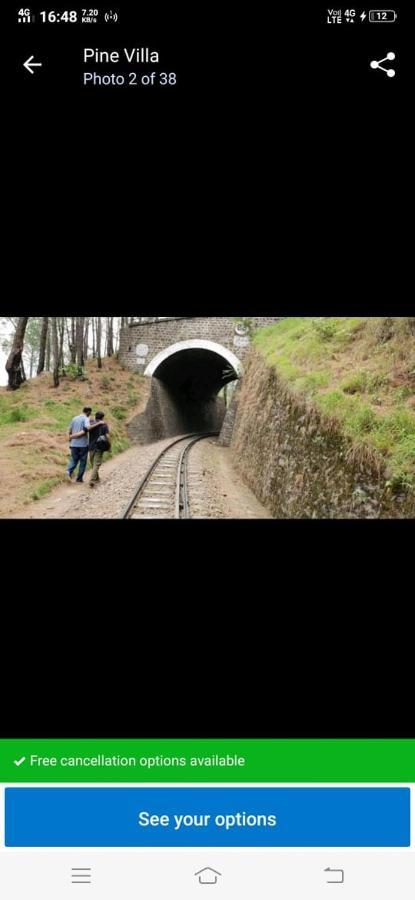 Pine Villa Kasauli Εξωτερικό φωτογραφία