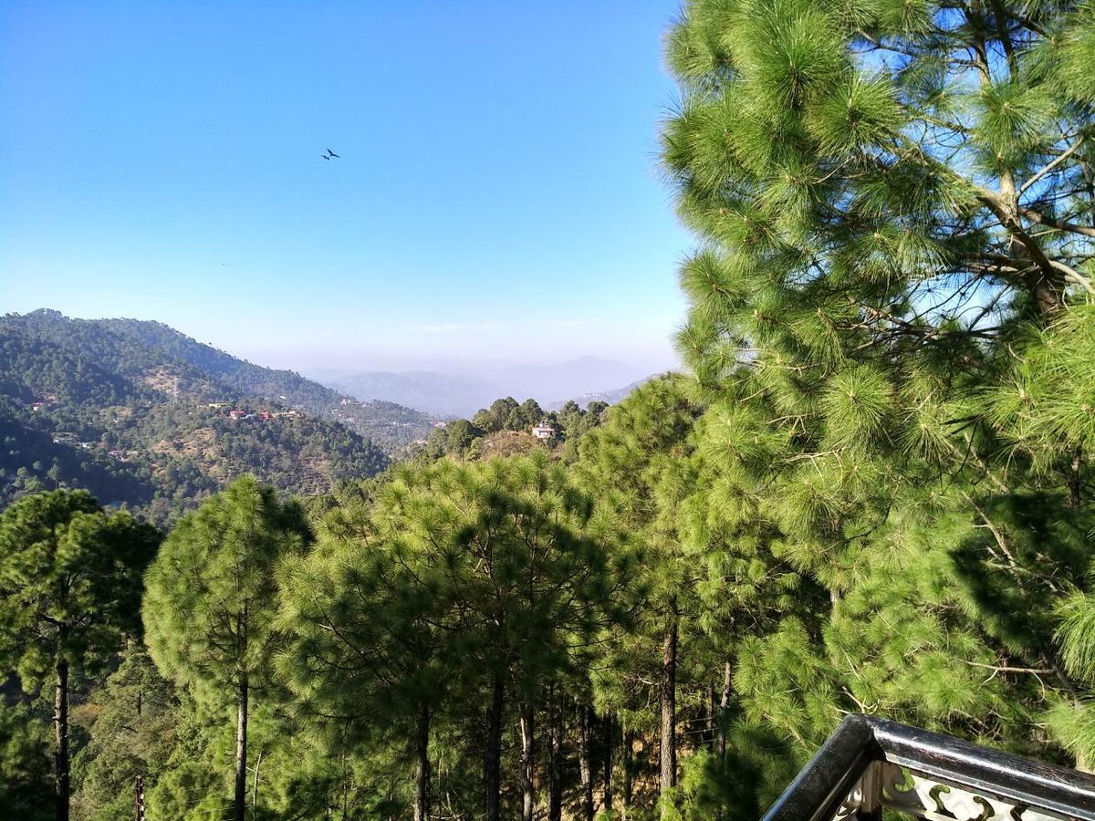 Pine Villa Kasauli Εξωτερικό φωτογραφία